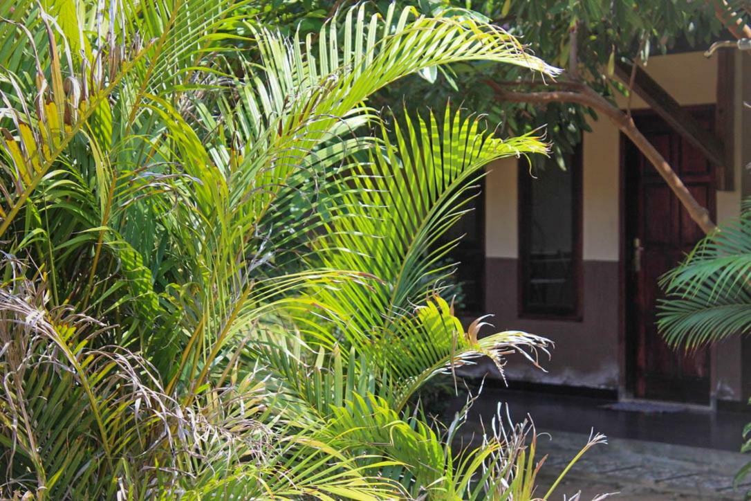 Harrys Oceanhouse 2 Pacitan Appartement Buitenkant foto